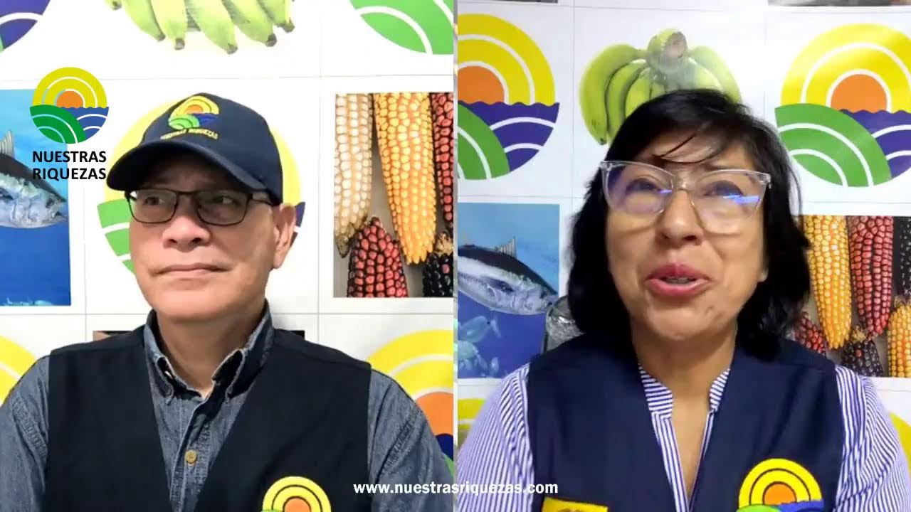 Nuestras Riquezas, miércoles 3 de junio de 2026