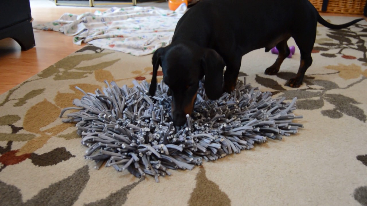 Paw5 Wooly Snuffle Mat Is One of the Best Dog Toys I've Bought