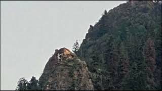 COLORADO YETI IN BROAD DAYLIGHT SHOCKS ONLOOKERS!