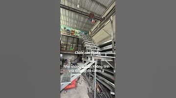 Cầu thang xương cá