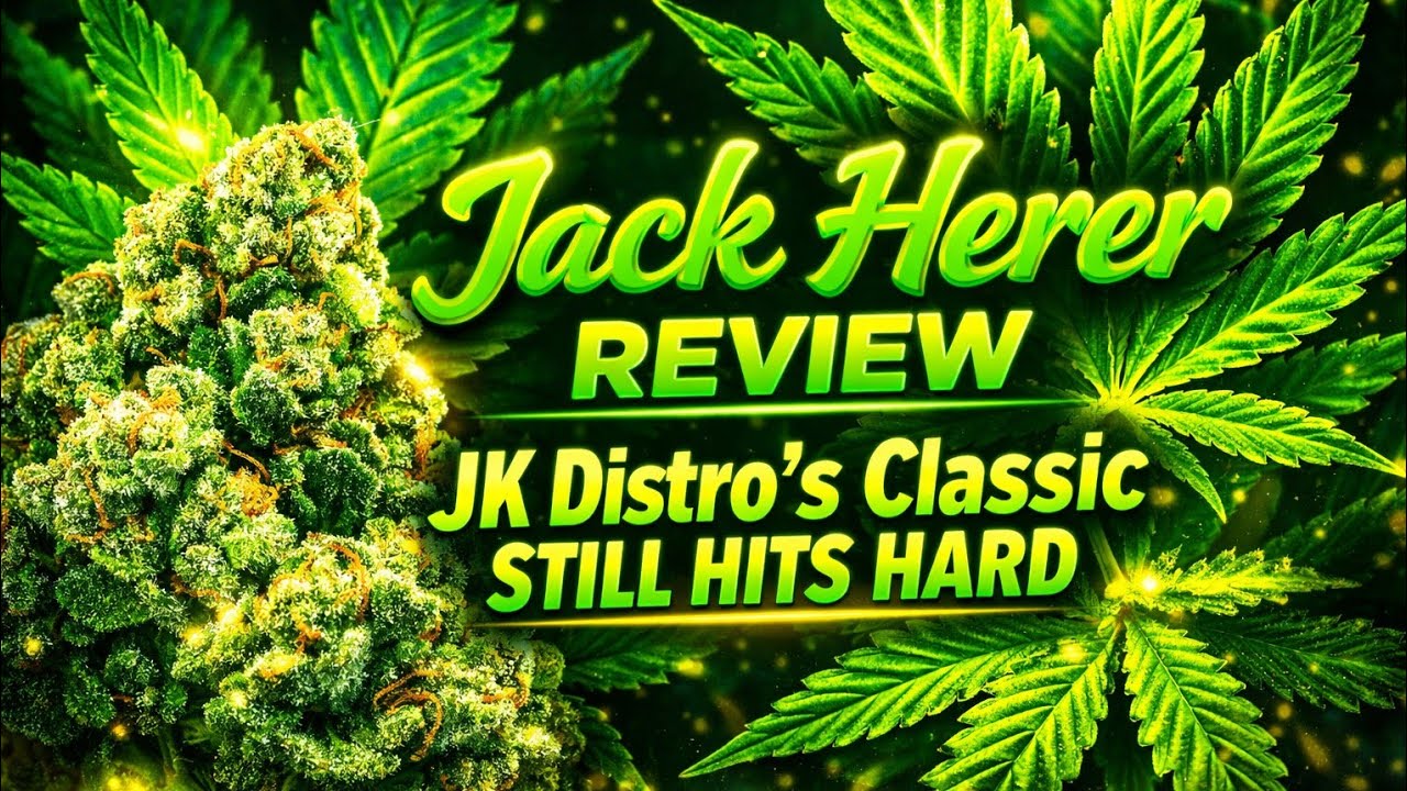 This Jack Herer from JK Distro Is Timeless 🔥