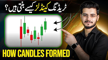How Price Action Candles Formed in Trading - The Psychology of Candlestick Pattern Hindi/Urdu