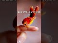 金運上昇神獣ベビー朱雀#528hz #quotes #432Hz#888hz #言葉 #いい言葉 #ai #shorts #神獣#birds#スピリチュアル#鳥#uma #動物#music