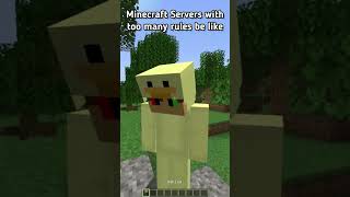 Minecraft servers with too many rules