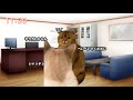 【猫ミーム】とある通信販売員の1日#猫ミーム #猫マニ