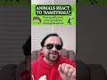 Animals React to ‘Samethalu’