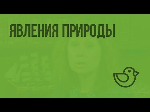 Явления природы. Видеоурок по окружающему миру 2  класс