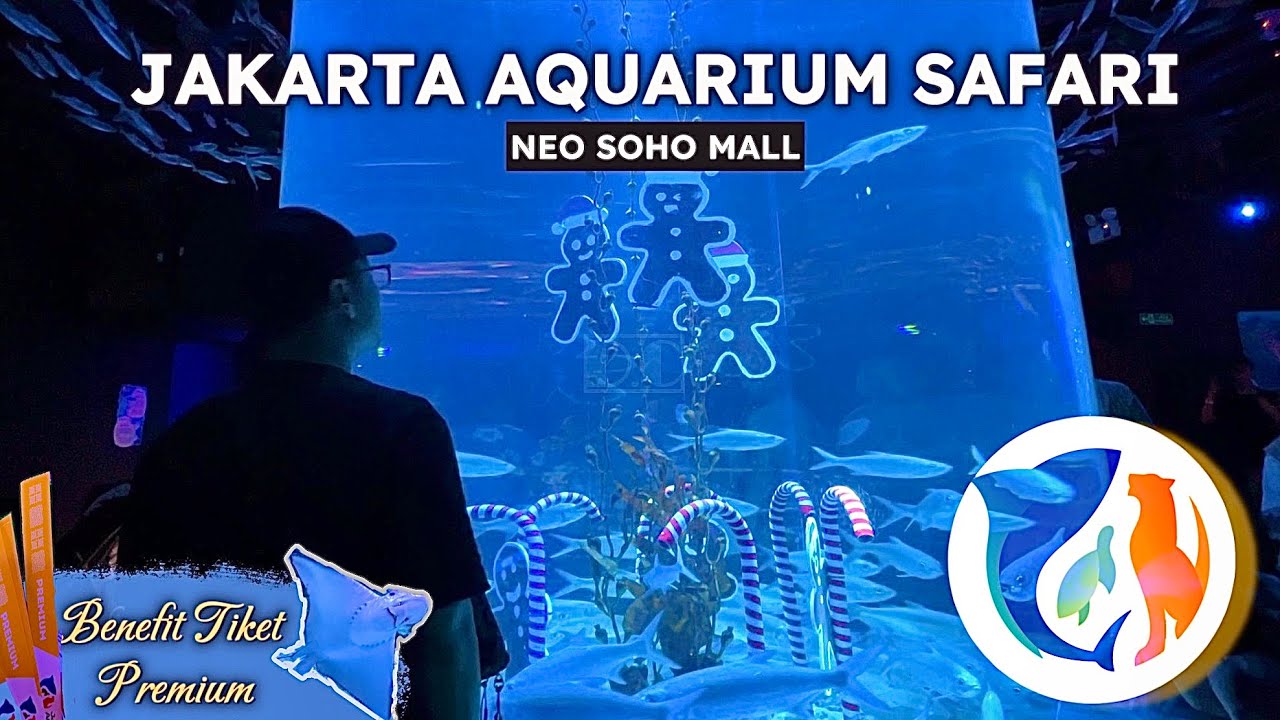 REVIEW LENGKAP! JAKARTA AQUARIUM NEO SOHO - EDISI LIBURAN NATARU || Daya Channel