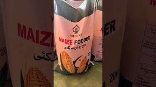 ACE SEEDS Faisalabad