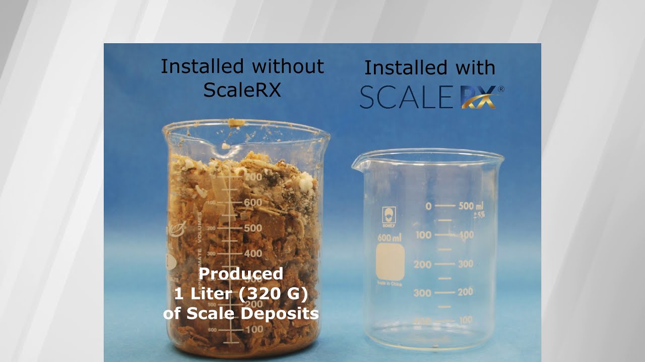 No Maintenance Solution for Your Tank or Tankless Water Heater ...