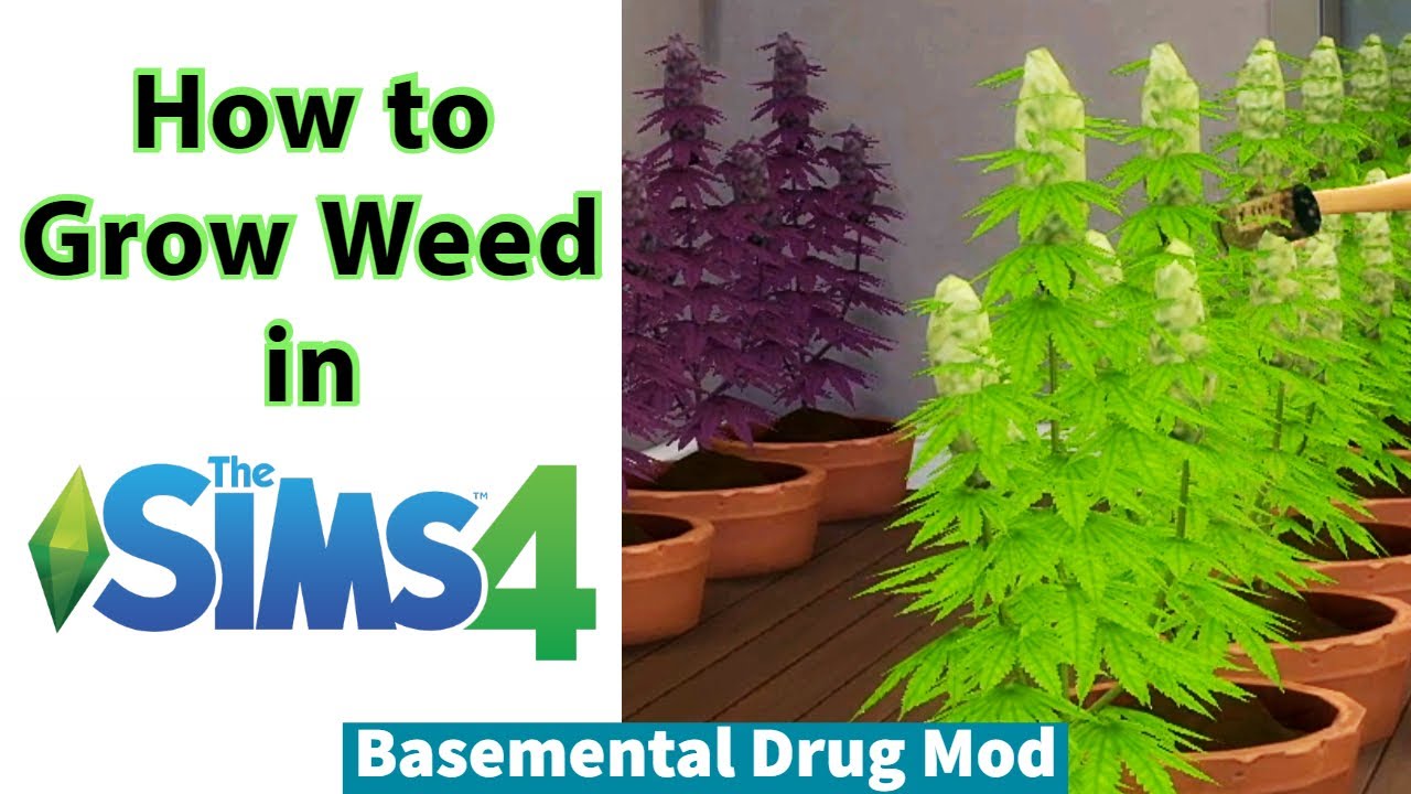 sims 4 weed smoking traits mod