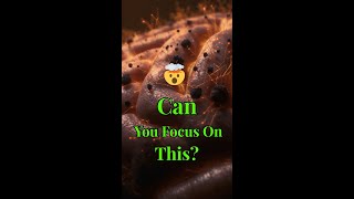 Digital Brain Hack Ambience 🧠 Neural Network Sounds for Deep Focus & Study screenshot 2