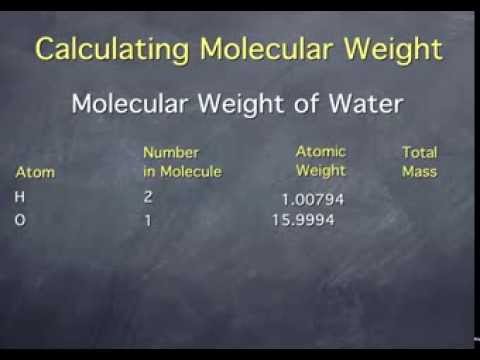 Molecular Weight Chart