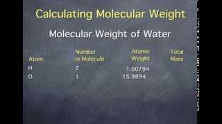 Calculating Molar Mass