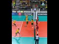 📺 Watch the CEV Champions League Volleyball LIVE on EuroVolley.TV #cev #volleyball #clvolley