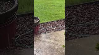 Pea-Sized Hail Pounds New Lenox, Illinois