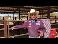 Meet World Champion Team Roper - Mike Beers! Get a taste for his Team Roping Training Program!