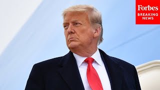 'An Absolutely Unprecedented Step': GOP Senator Comments On FBI Raid Of Trump's Home At Mar-A-Lago