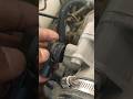Throttle Position Sensor Shorts Throttle Position Sensor Shorts