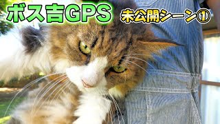 Escaped Cat Boss Kichi GPS Survey Unreleased Scene ①