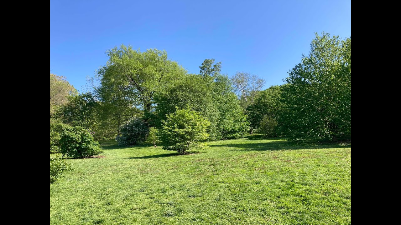 Елена Мамедова (Yelena Mamedova), Сопрано,  Б. Фомин 