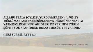 Bu günün Âyet-i Kerîmesi screenshot 4