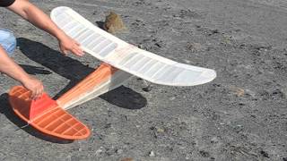 Free flight model SPECTRE