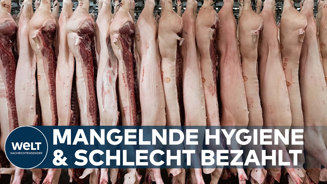 TÖNNIES, WIESENHOF & Co: FLEISCHINDUSTRIE steht massiv in der Kritik