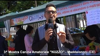 MOVIDA LOCA TV - Mostra Amatoriale Canina Nuzzo 3 Edizione