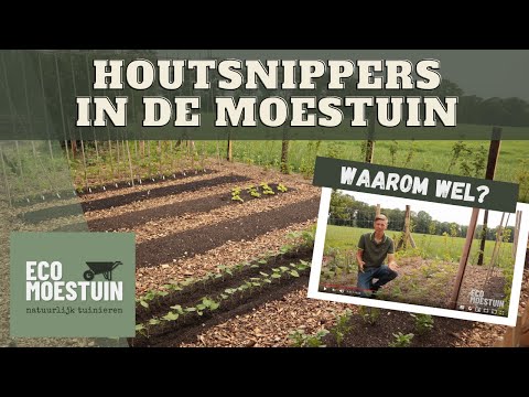 Video: Gebruik van houtsnippers in de tuin: leer over de voor- en nadelen van houtsnippersmulch