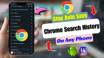 How To Stop Auto Save Option On Google Chrome Search History