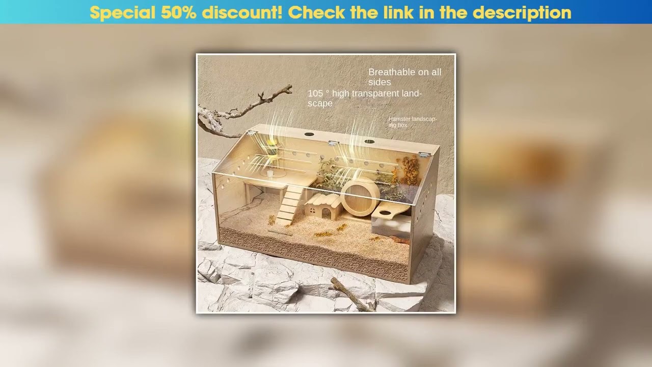 Get Luxurious Hamster House with Wooden Framework and Acrylic Walls Premium Quality Wooden Hamster•