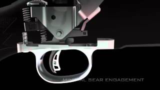 AccuTrigger by Savage Arms