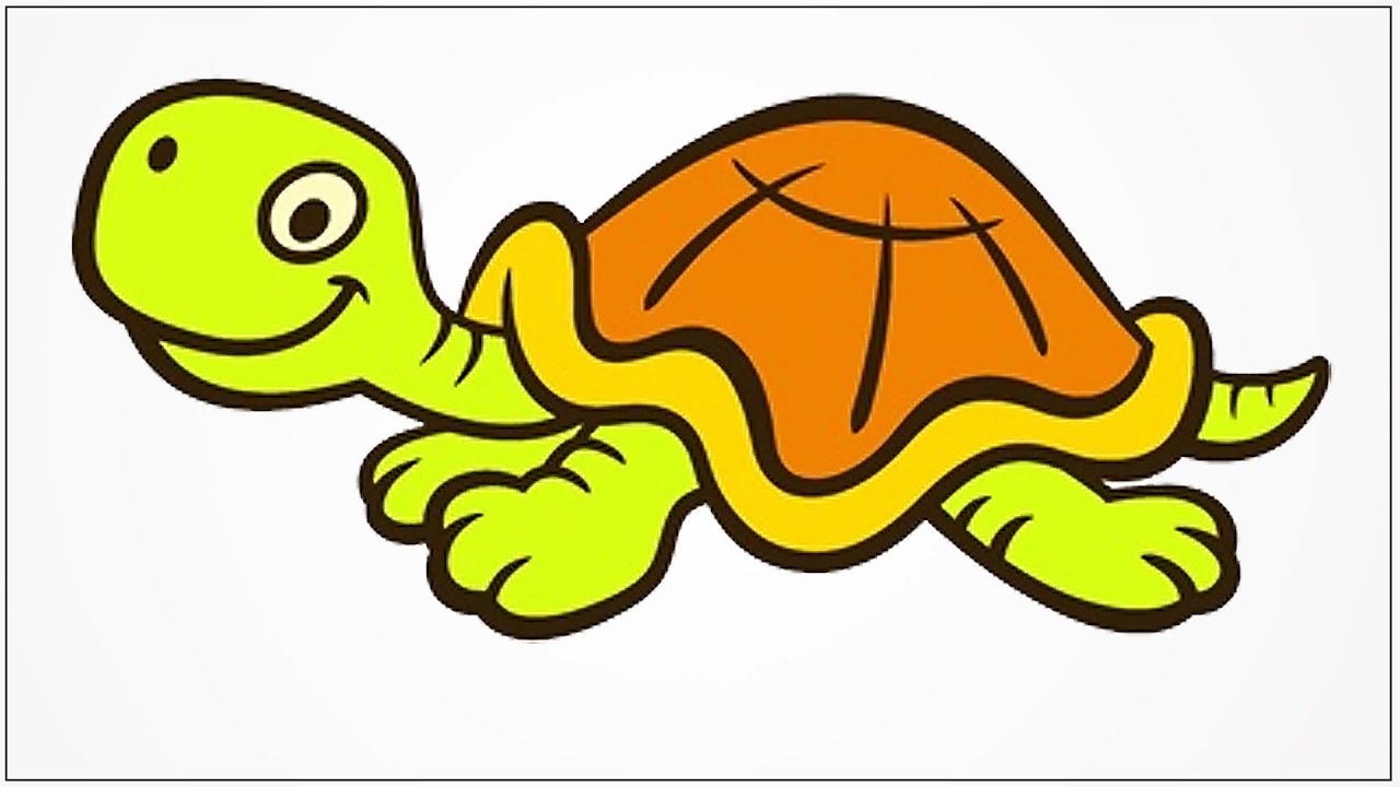 How To Draw A Cute Cartoon Turtle Step By Step YouTube how-to-draw-a-cute-cartoon-turtle-step-by-step-youtube