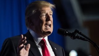 Trump doubles down on voter fraud claim, provides no proof