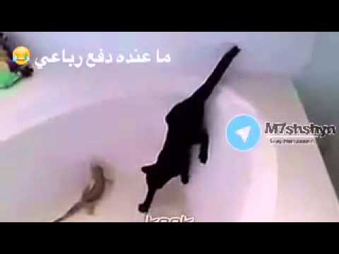 ١٢ ديسمبر ٢٠١٥