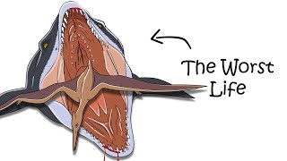 Why It Sucks to Be Born as Mosasaurus