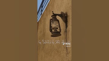 عبدالله الموسى - سورة النساء