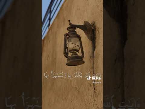 عبدالله الموسى سورة النساء