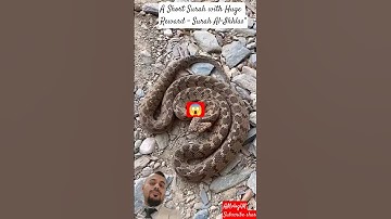 A Short Surah with Huge Reward – Surah Al-Ikhlas” #سورة_الإخلاص #egzonibrahimi #nature #shortvideo