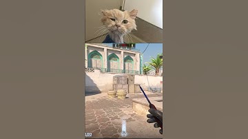 What Deagle skin should I replace this with   #cs2 #counterstrike