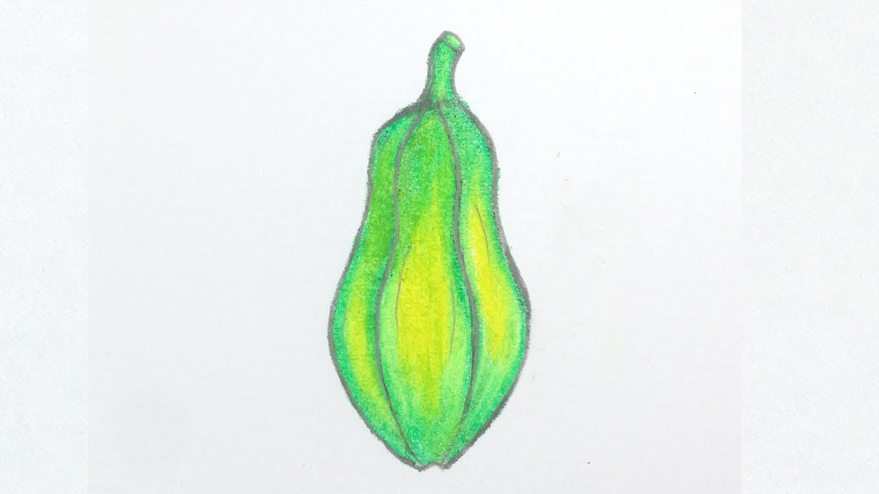 How To Draw Green Papaya Step by Step Very Easy Papaya Drawing YouTube