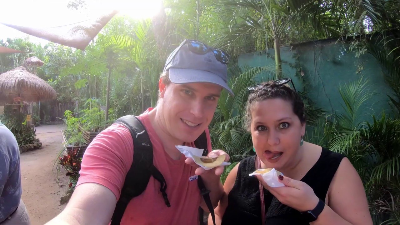 Cruise to Key west and Mexico Jan 2020 YouTube