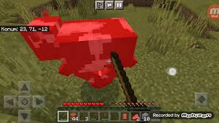 Minecraft Survival Bölüm 1