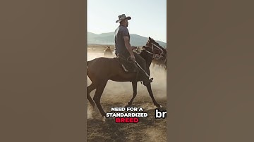 The Cattle Dog That Changed Australia Forever