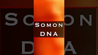 Cilt Gençleştirme: Somon DNA Gerçekten İşe Yarıyor mu? https://www.instagram.com/drnergizerten/