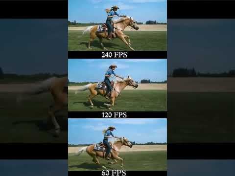 60 fps vs 120fps vs 240fps comparison and amazing refresh rate