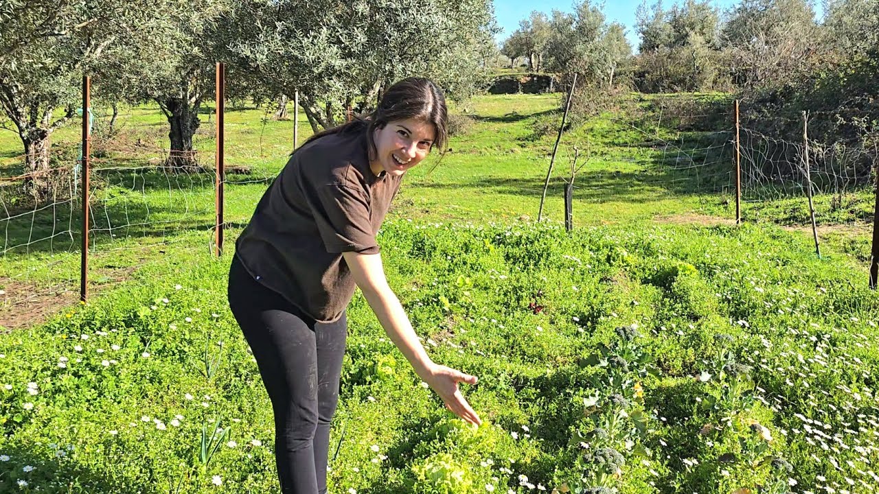 Quitando morujillo del huerto, mirar lo que tengo aquí
