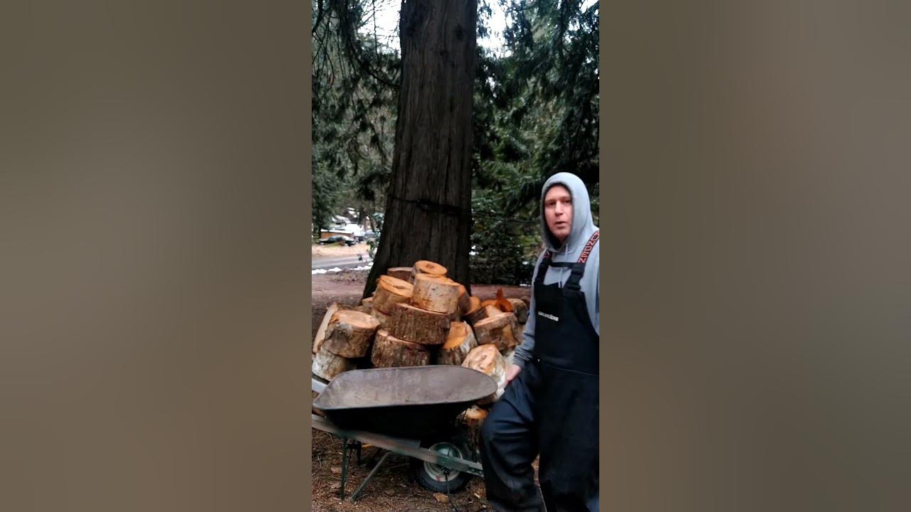 The Secret to Perfect Pathways Mulching with Western Red Cedar Needles