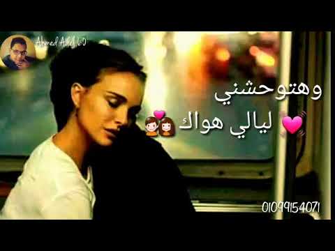 وحشتني وبتوحشني ليالي هواك